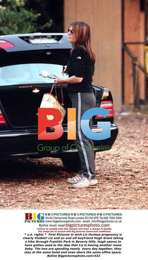 Liz Hurley and Hugh Grant Spotted