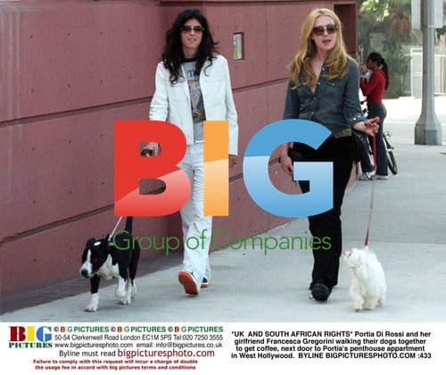 Portia Di Rossi and Francesca Gregorini Walk Dogs