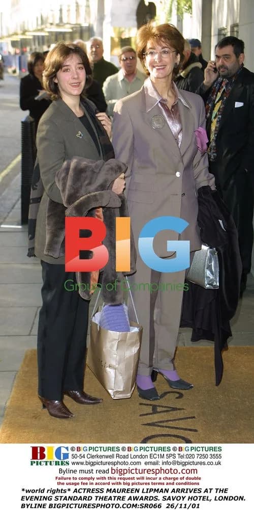 Maureen Lipman at Evening Standard Theatre Awards