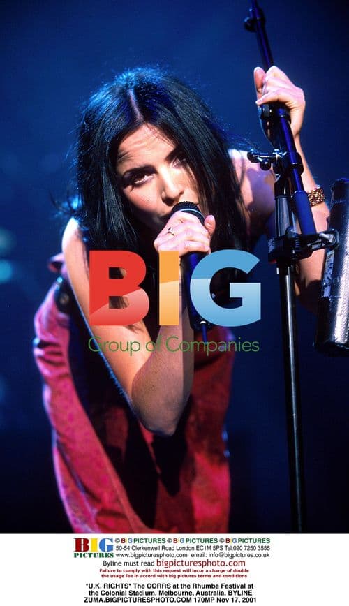 The CORRS at the Rhumba Festival