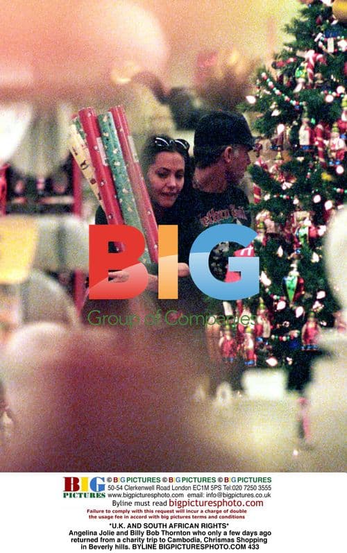 Angelina Jolie and Billy Bob Thornton Christmas Shopping