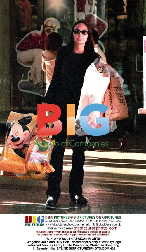 Angelina Jolie and Billy Bob Thornton Christmas Shopping