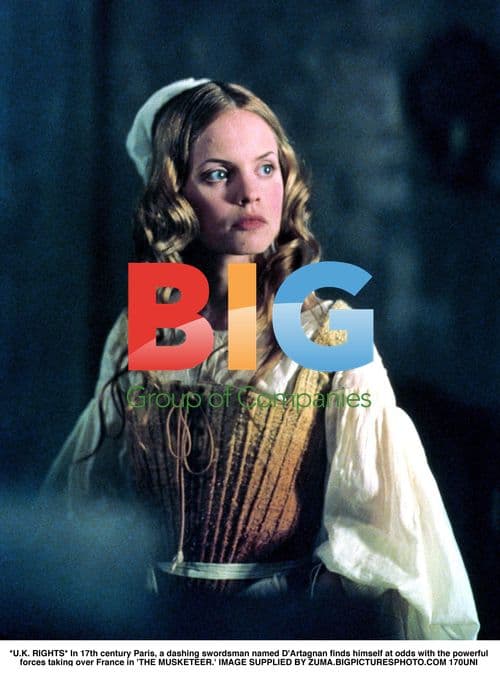 D'Artagnan in 'The Musketeer'