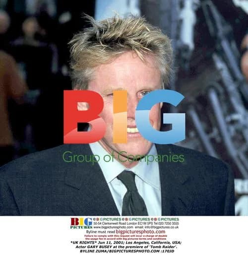 Gary Busey at 'Tomb Raider' Premiere