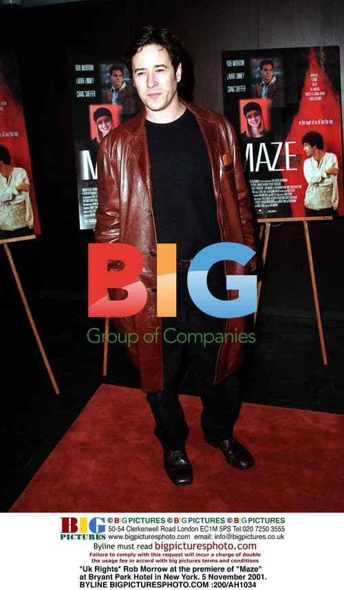 Rob Morrow at "Maze" Premiere