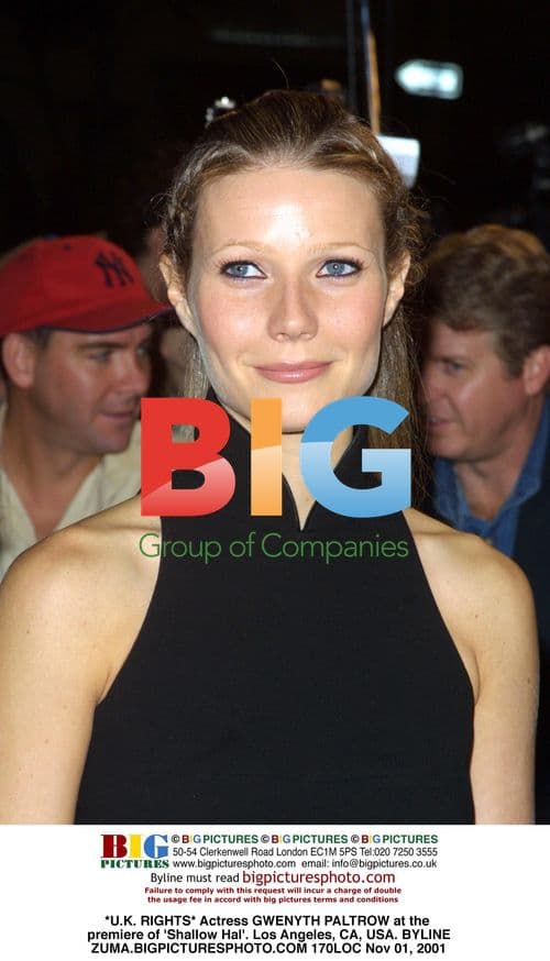 Gwenyth Paltrow at 'Shallow Hal' Premiere