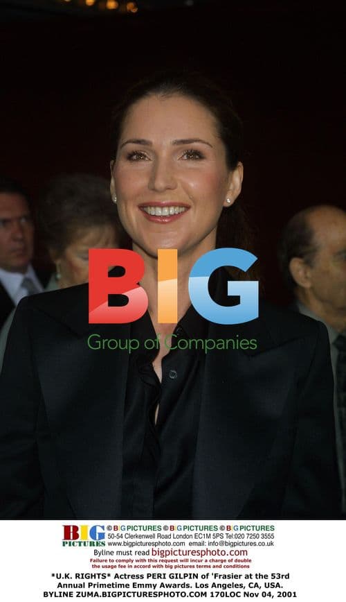 Peri Gilpin at 53rd Primetime Emmy Awards