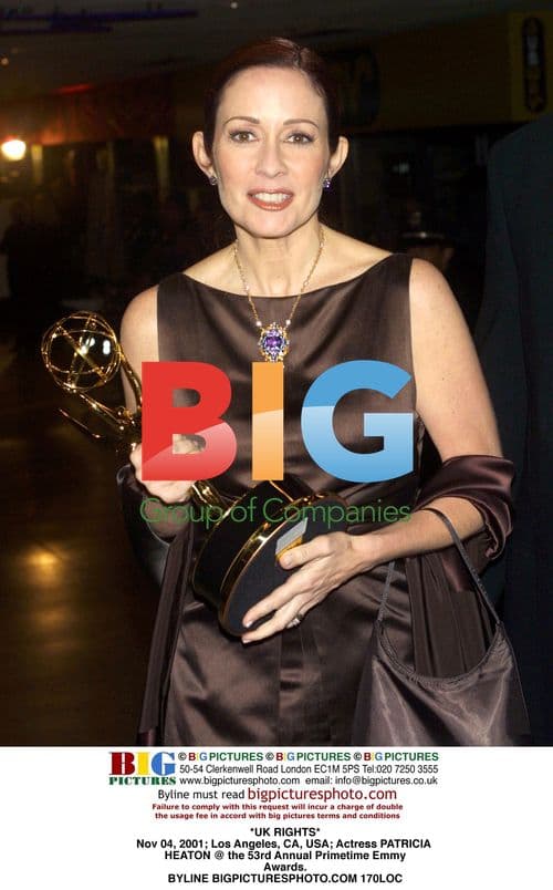 Patricia Heaton at 53rd Primetime Emmy Awards