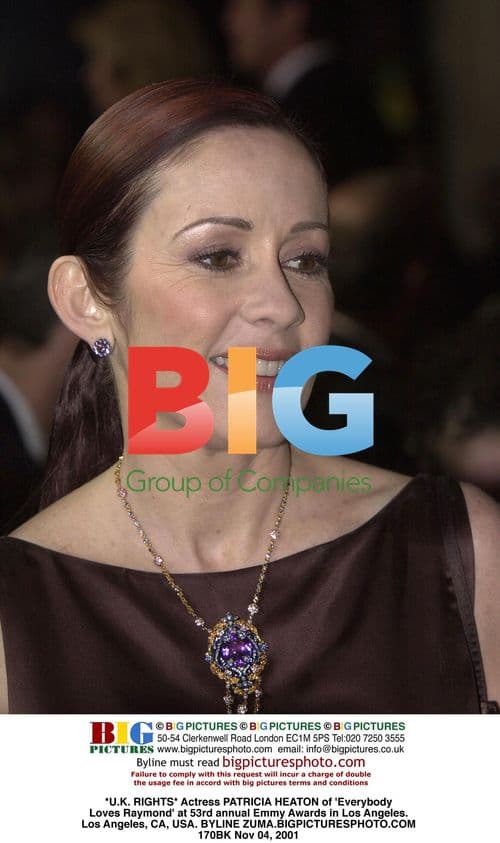 Patricia Heaton at 53rd Emmy Awards