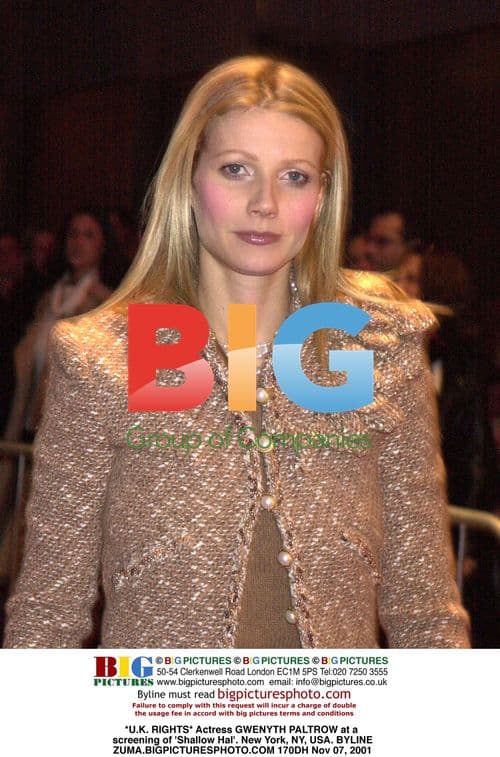 Gwenyth Paltrow at 'Shallow Hal' screening