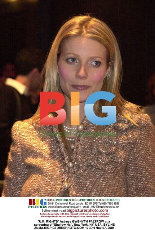 Gwenyth Paltrow at 'Shallow Hal' screening