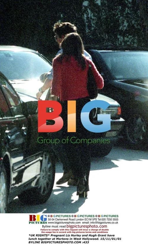 Liz Hurley and Hugh Grant have lunch in LA