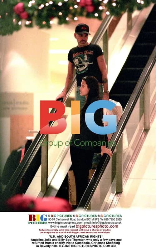 Angelina Jolie and Billy Bob Thornton Christmas Shopping