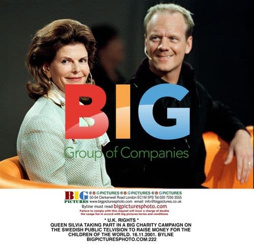 Queen Silvia in Charity Fundraiser