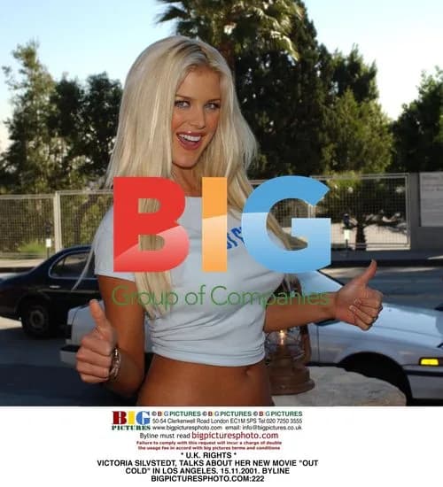 Victoria Silvstedt talks "Out Cold" movie