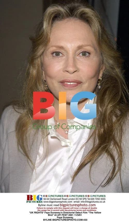 Faye Dunaway's Directorial Debut at AFI FEST 2001