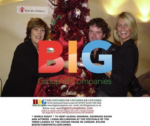 TV Personalities at Festivals of the Trees Launch