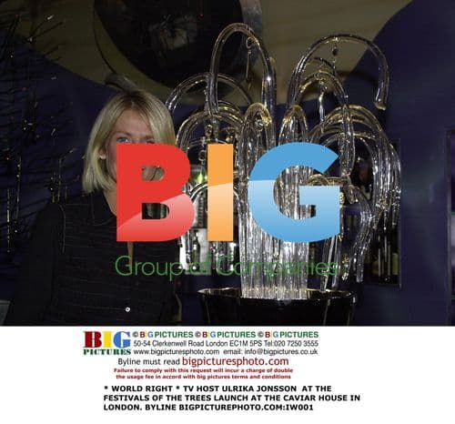 TV Host Ulrika Jonsson at Festivals of the Trees