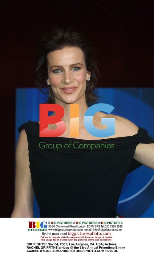 Rachel Griffiths Arrives at 53rd Primetime Emmy Awards