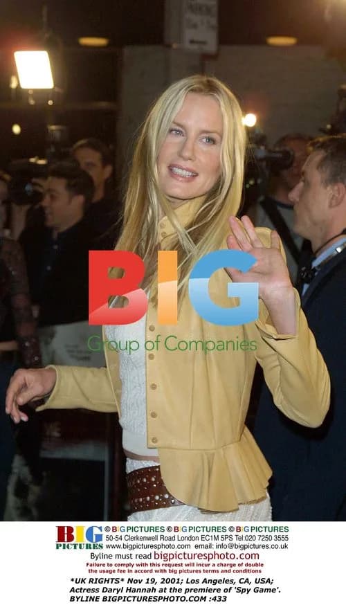 Daryl Hannah at 'Spy Game' Premiere