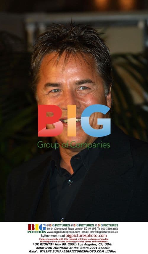 Don Johnson at Stars 2001 Benefit Gala