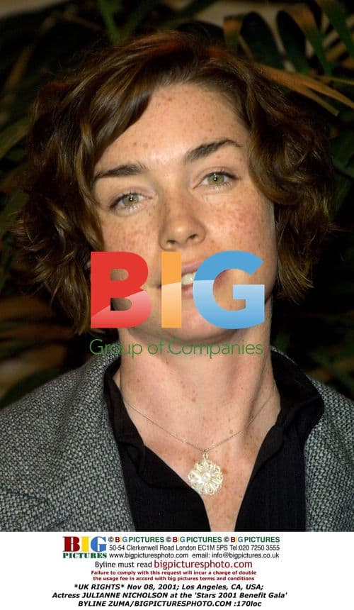 Julianne Nicholson at Stars 2001 Benefit Gala