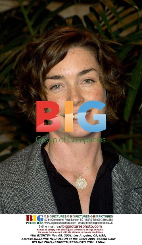 Julianne Nicholson at Stars 2001 Benefit Gala