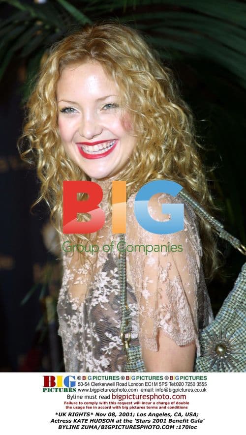 Kate Hudson at Stars 2001 Benefit Gala