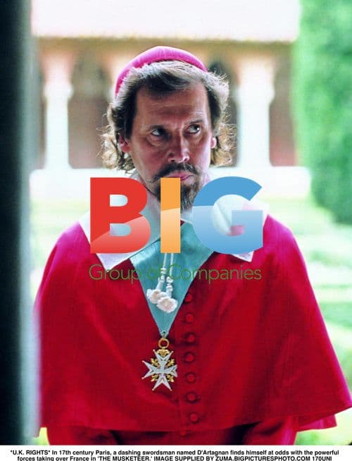 D'Artagnan in 'The Musketeer'