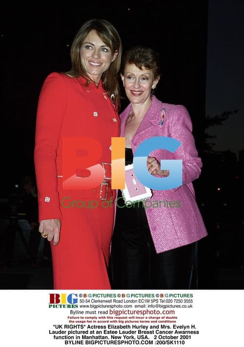 Elizabeth Hurley at Estée Lauder Breast Cancer Event