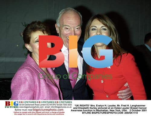 Elizabeth Hurley at Estee Lauder event