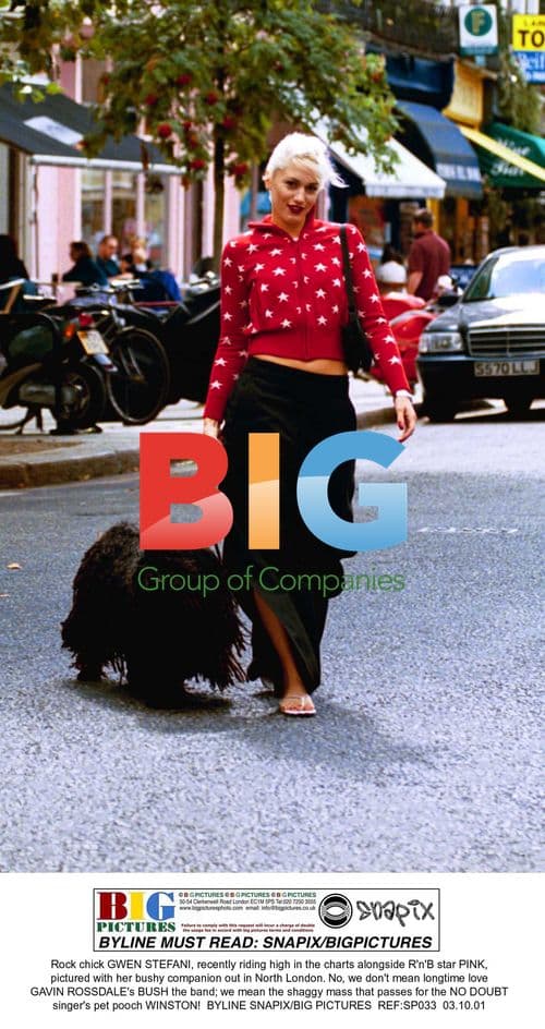 Rihanna at 2022 Met Gala