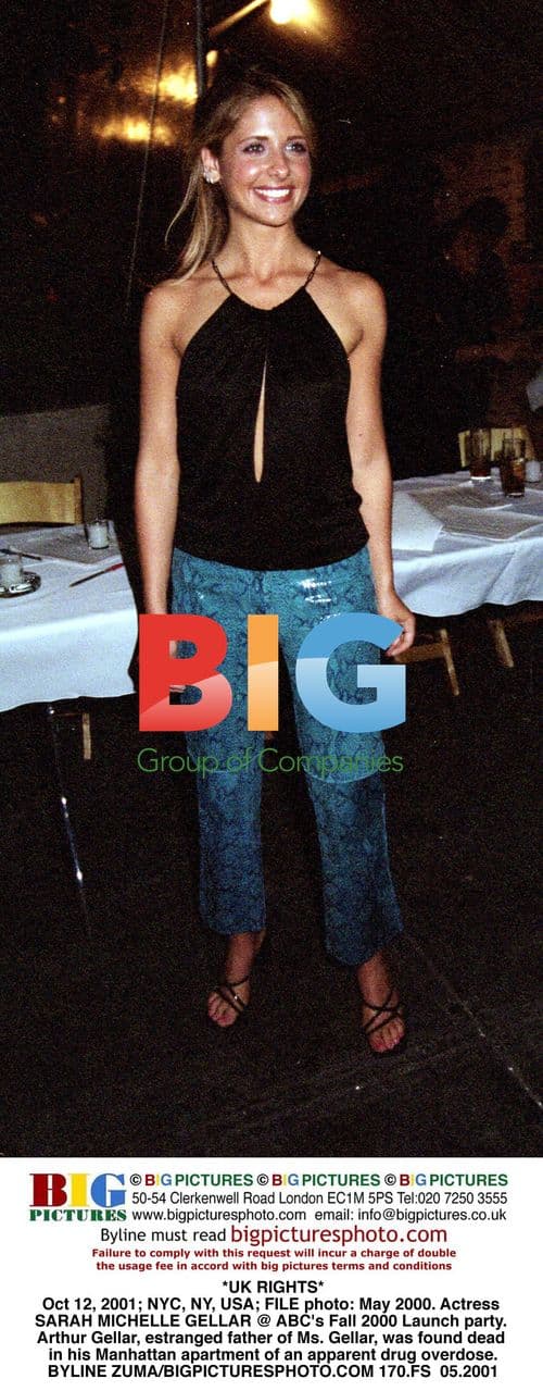 Sarah Michelle Gellar at ABC Fall Party