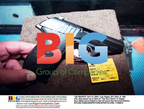 Sig Handgun Display at Las Vegas Gun Store