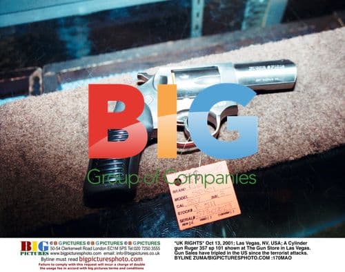 Ruger 357 sp 101 Shown at Las Vegas Gun Store