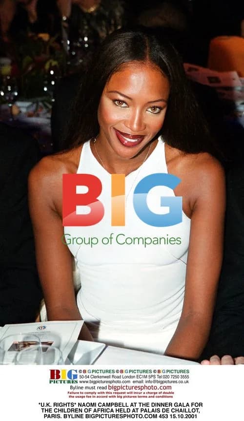 Naomi Campbell and Johnny Halliday at Children of Africa Dinner