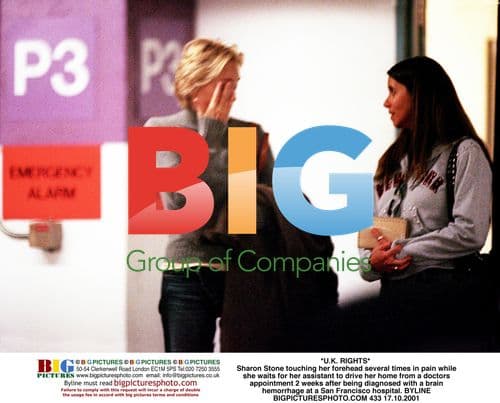 Sharon Stone in Pain After Brain Hemorrhage