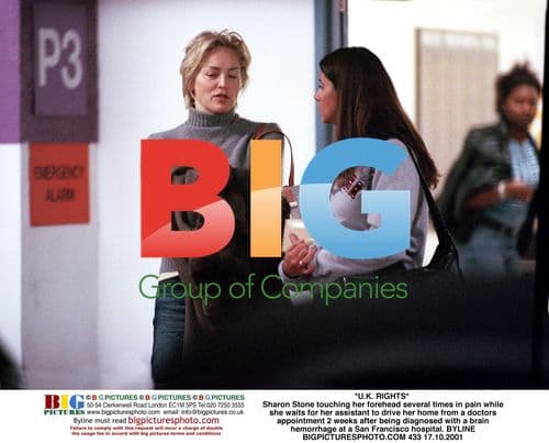 Sharon Stone waiting to be driven home