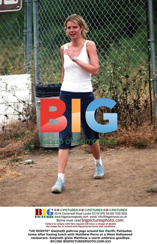 Gwyneth Paltrow and Matthew Perry meet for lunch