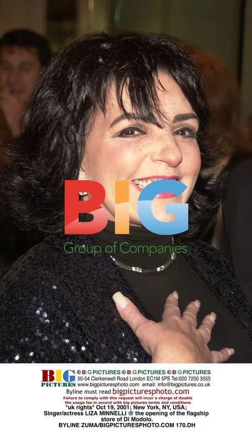 Liza Minnelli at Di Modolo Store Opening