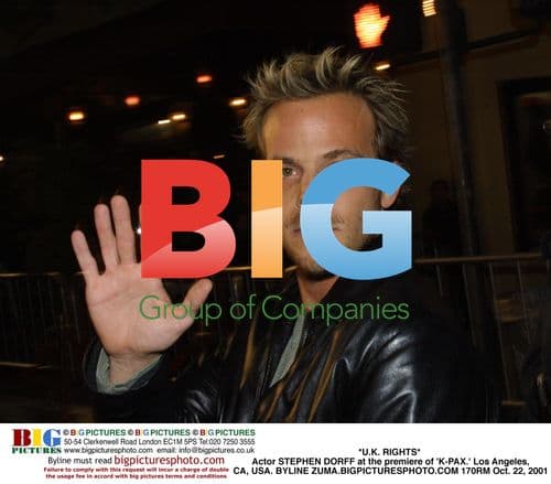 Stephen Dorff at 'K-PAX' Premiere