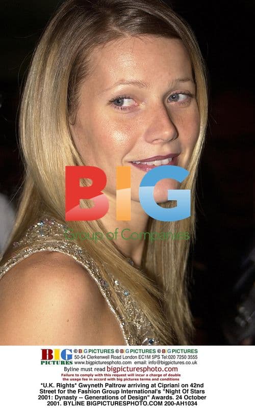 Gwyneth Paltrow at Fashion Group International's "Night Of Stars 2001"