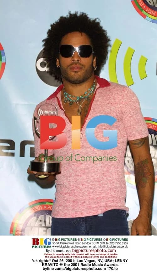 Lenny Kravitz at 2001 Radio Music Awards