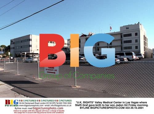 Steffi Graf Gives Birth to Son Jadon Gil