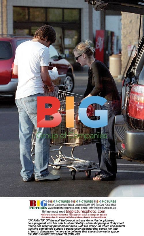 Anne Heche Pregnant Shopping