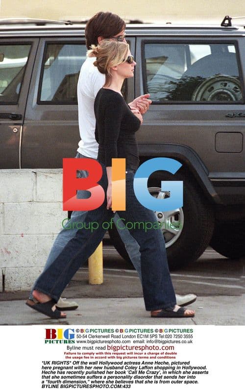 Anne Heche Pregnant Shopping with Husband
