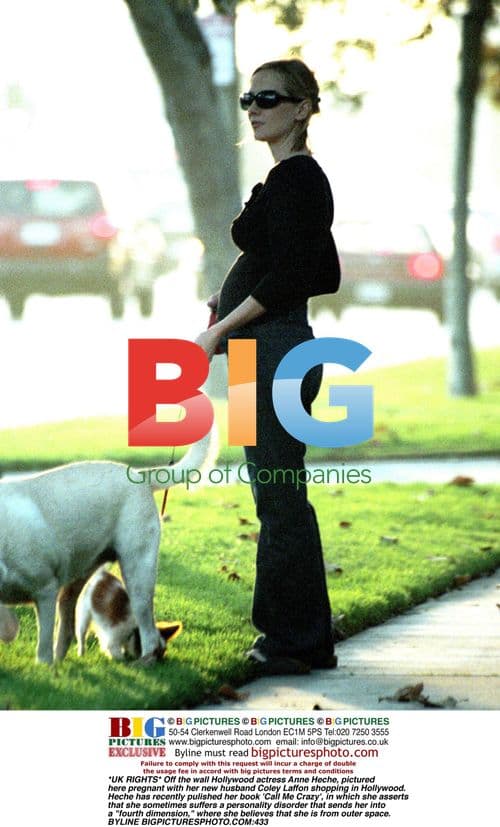 Pregnant Anne Heche Shopping with Husband