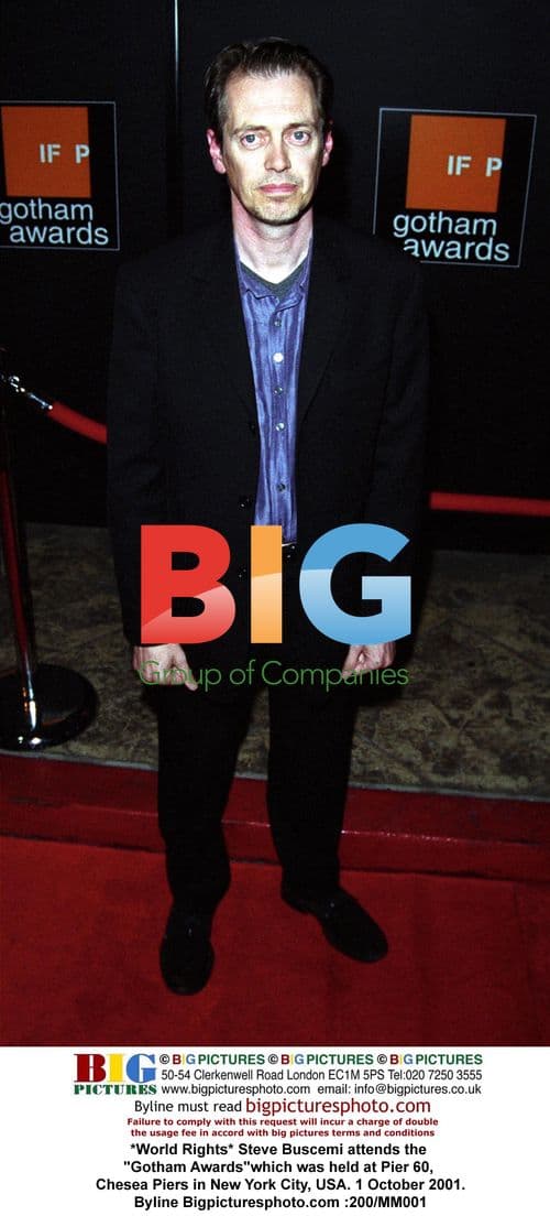 Steve Buscemi at Gotham Awards in NYC