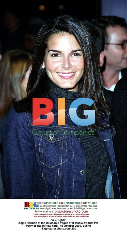 Angie Harmon at Di Modolo VH1 Music Awards Party