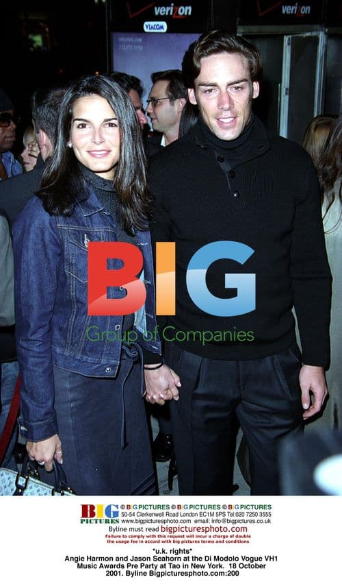 Angie Harmon and Jason Seahorn at VH1 Music Awards Pre Party